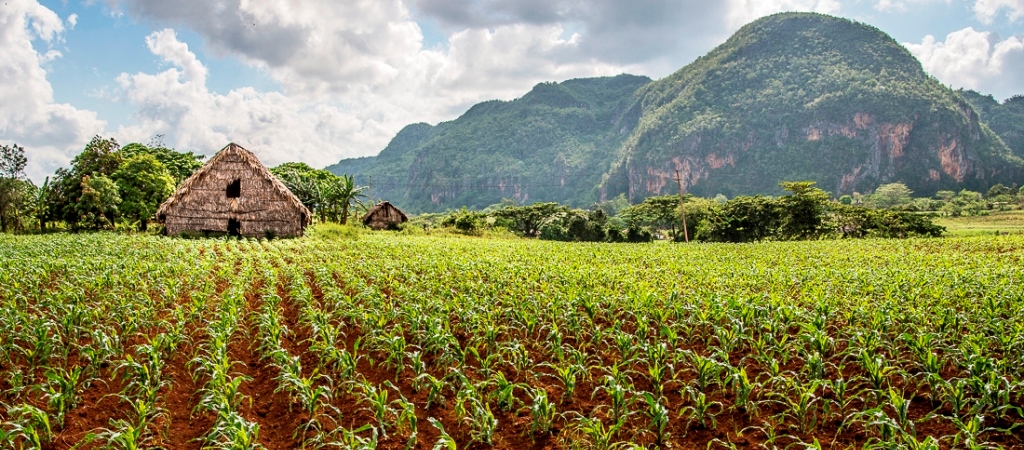 Viñales